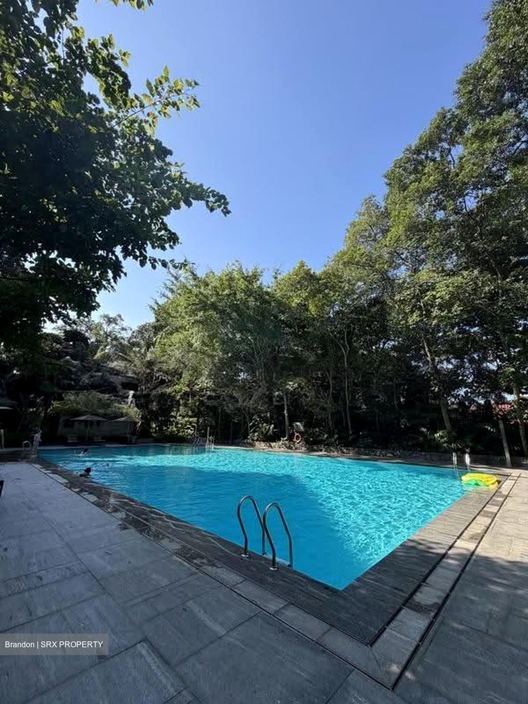 Nassim Mansion (D10), Apartment #608613961